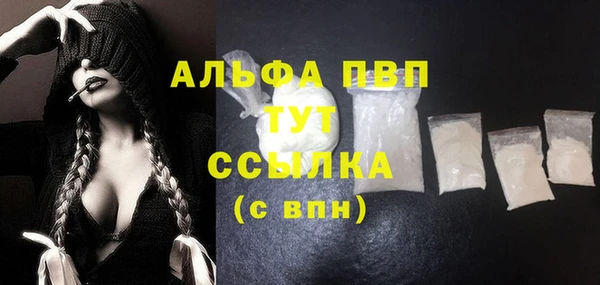 шишки Абаза