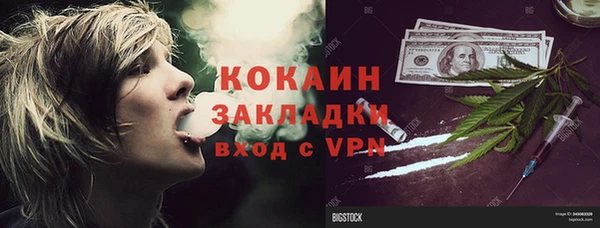 шишки Абаза