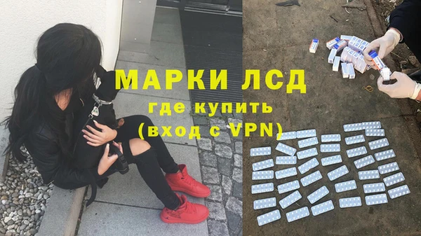шишки Абаза