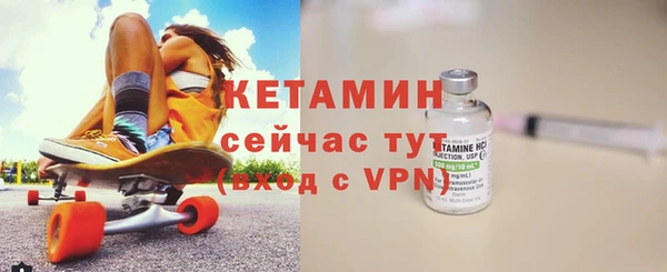 шишки Абаза