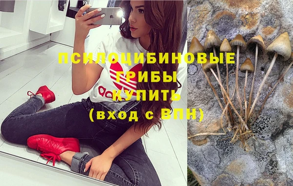 стаф Пестово