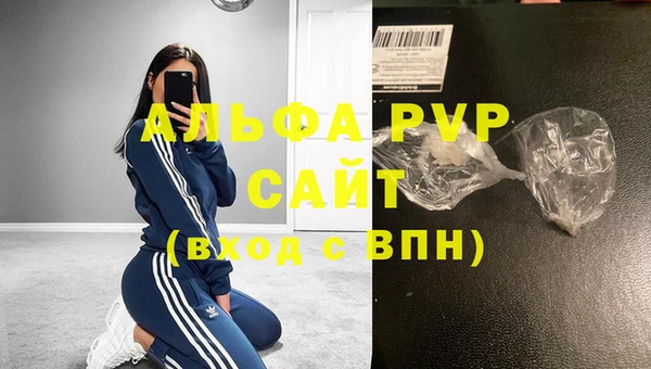шишки Абаза