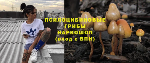 шишки Абаза