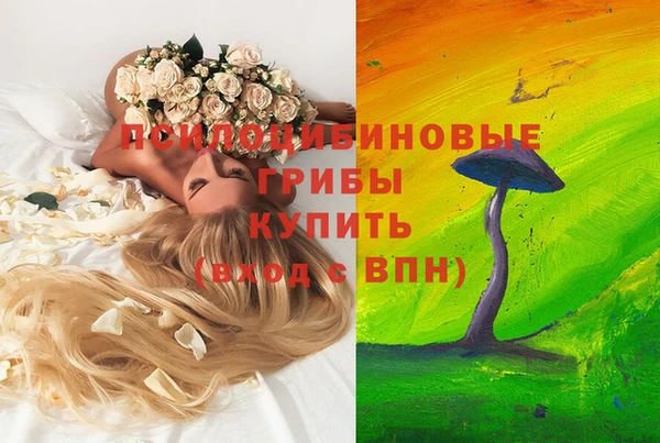 спиды Абинск