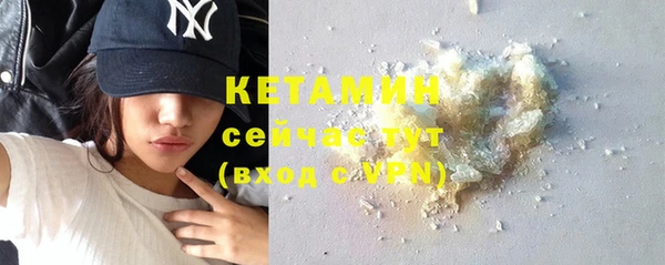 шишки Абаза