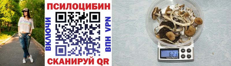 Псилоцибиновые грибы Cubensis Каменск-Шахтинский