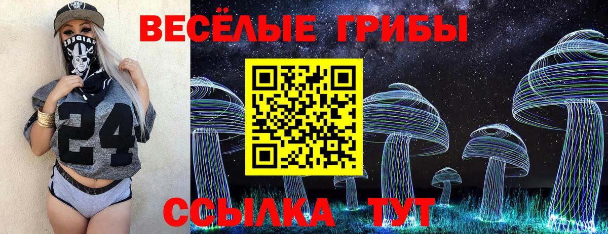 где можно купить   Псилоцибиновые грибы мицелий  Вход с VPN  Каменск-Шахтинский 